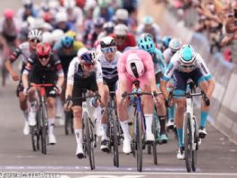 Giro de Italia: Mads Pedersen: "Es una locura, mejor de lo que jams haba imaginado"